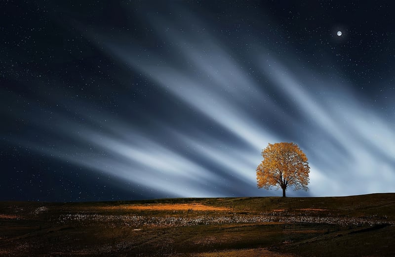 Moonlight